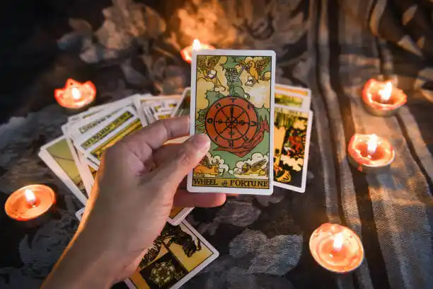 tarot cards Shields